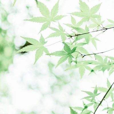 日本小林制药“问题原料”恐波及3.3万家企业